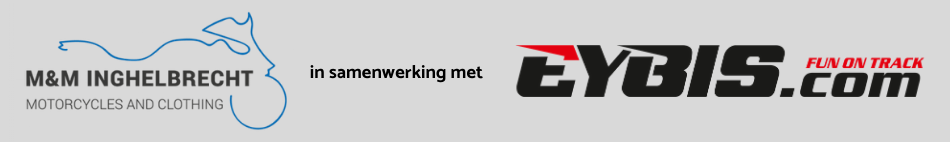 Logo EYBIS